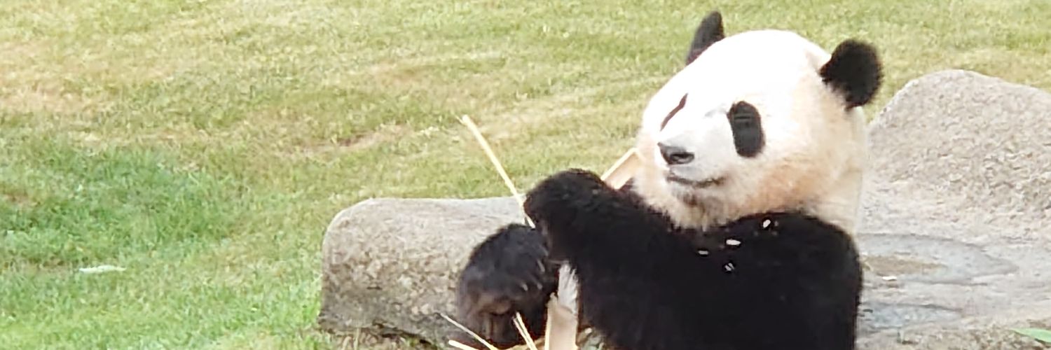 白黒迷ってシマウマ弁🦓's banner