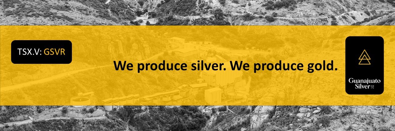 Guanajuato Silver Company Ltd.🇲🇽 banner