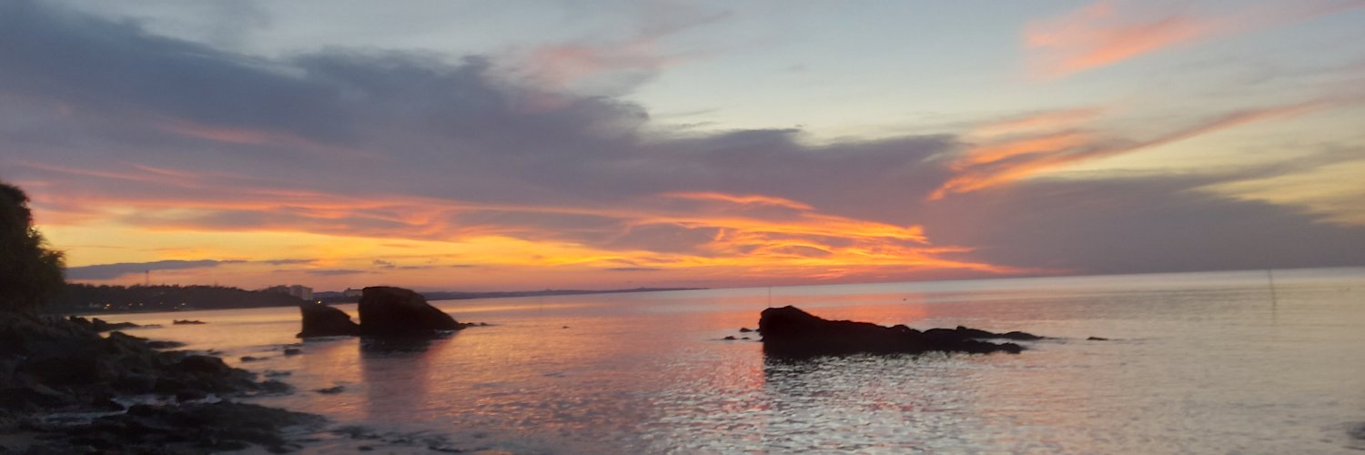 AnaC_RGomes's profile banner image