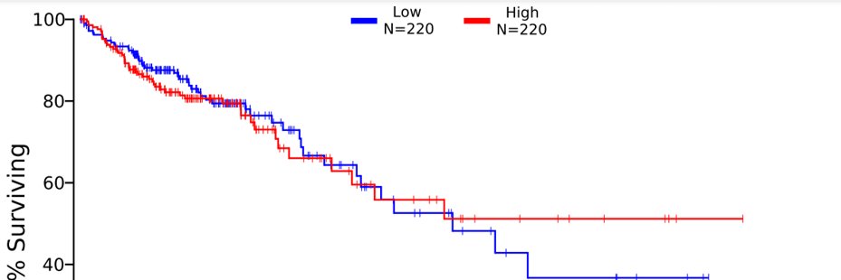 ವಿಷ್ಣು ಮೋದೂರ್ banner