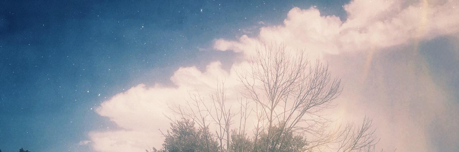 Brandon Stone banner