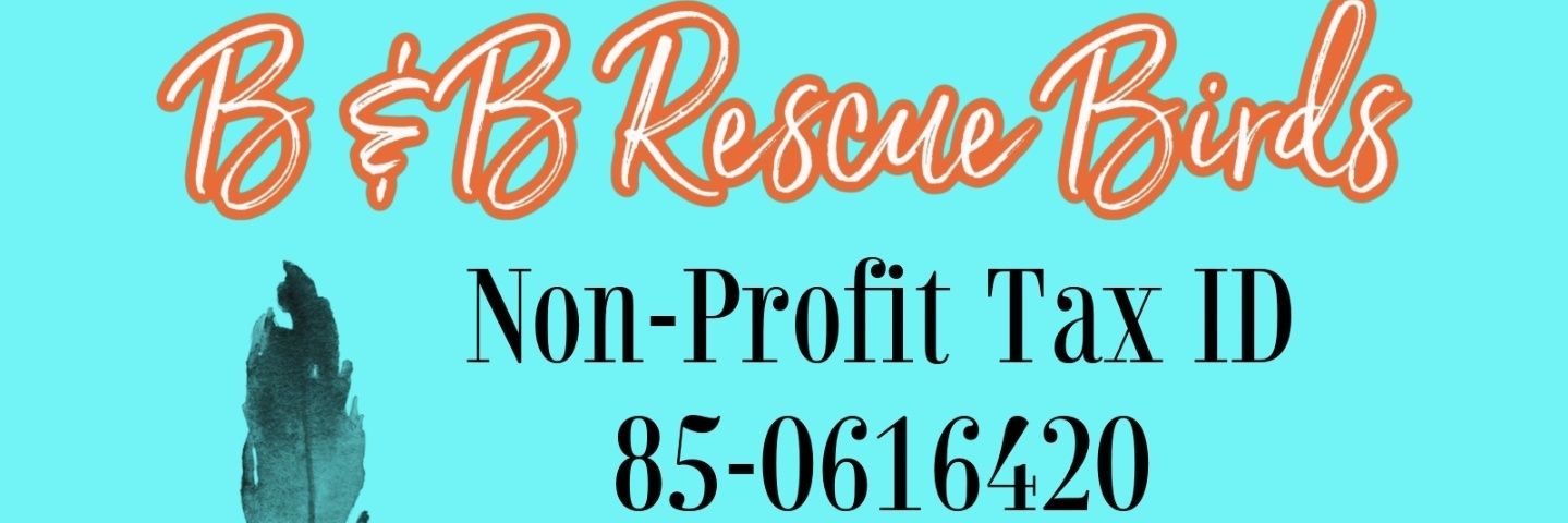 Ronies for The Love Of Birds banner