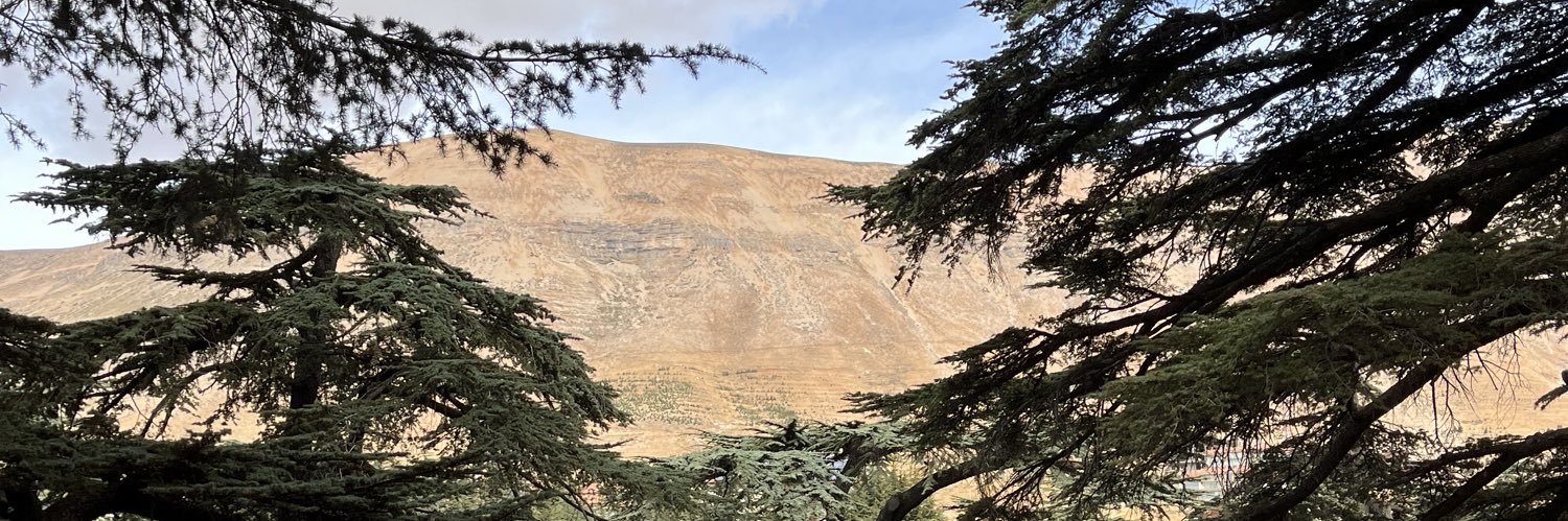 Michael Bauer banner