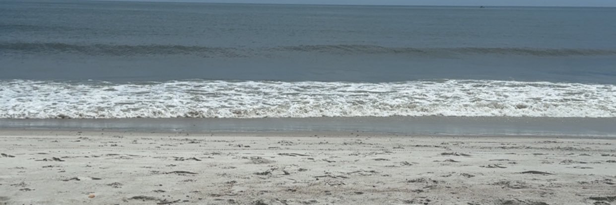 annaa_joness's profile banner image
