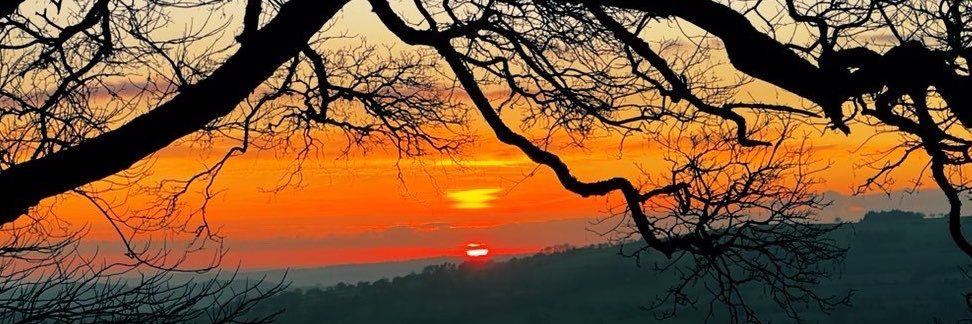 LJPDigitalPhoto's profile banner image