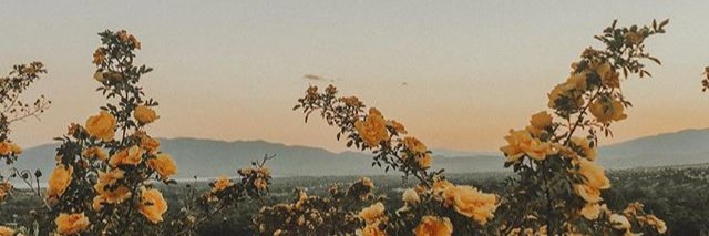 ac_tassi's profile banner image