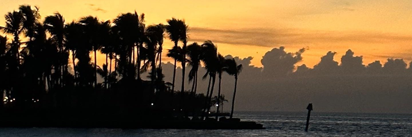 vtinai's profile banner image