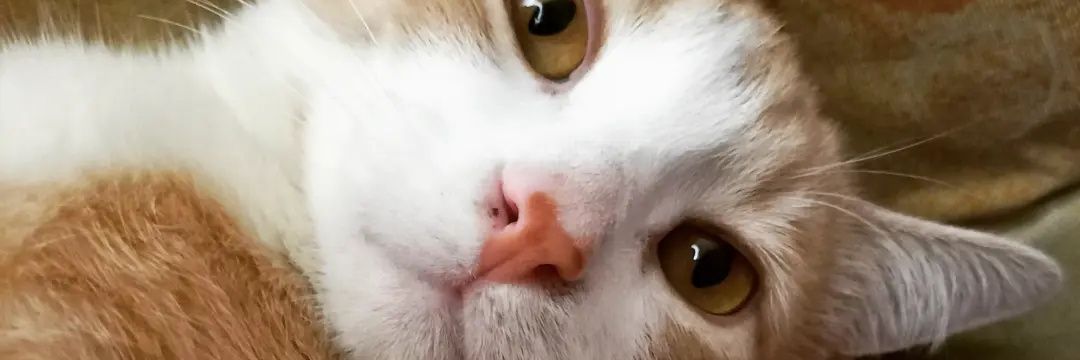 BrendaMercury25's profile banner image