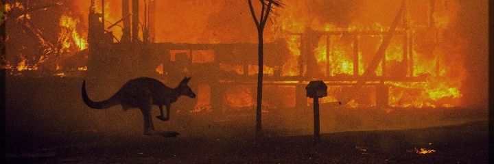 Robert Redmayne Hosking 🔥🌍🔥's banner
