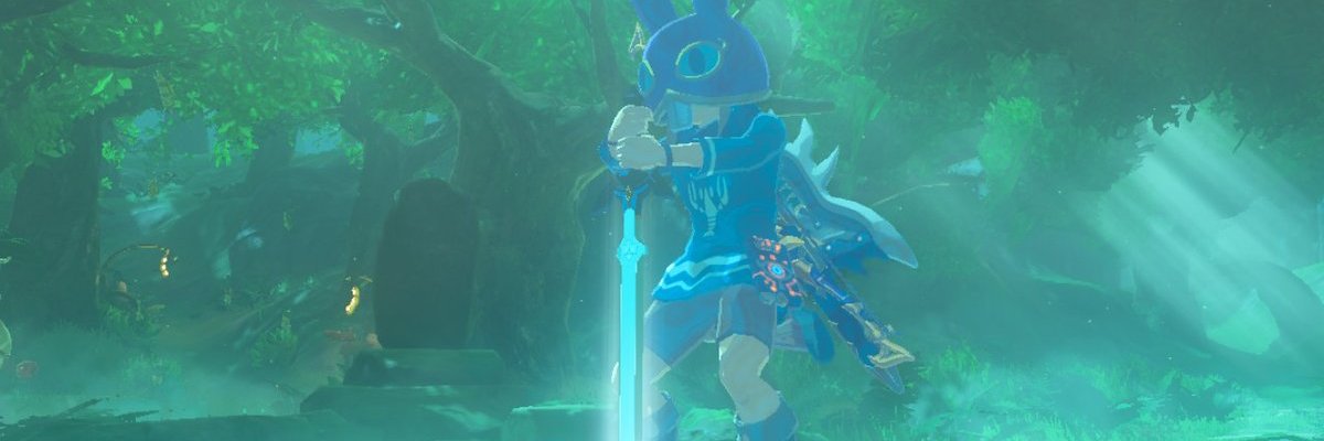 octorok385's profile banner image