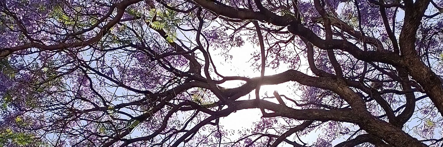 Ivette_Correal's profile banner image