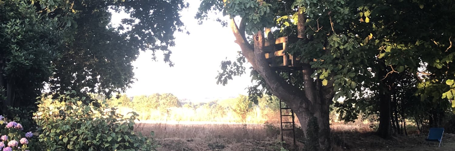 Glenda Norquay banner