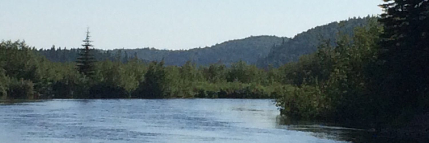 PierreDorval's profile banner image