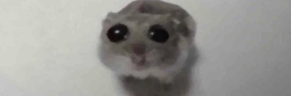 diesyyyy's profile banner image