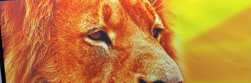 EduAzuara's profile banner image