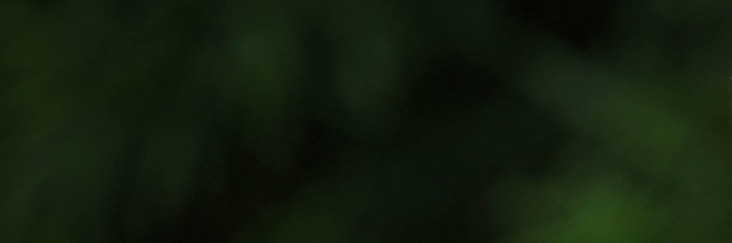 Douglas Torres Torres banner