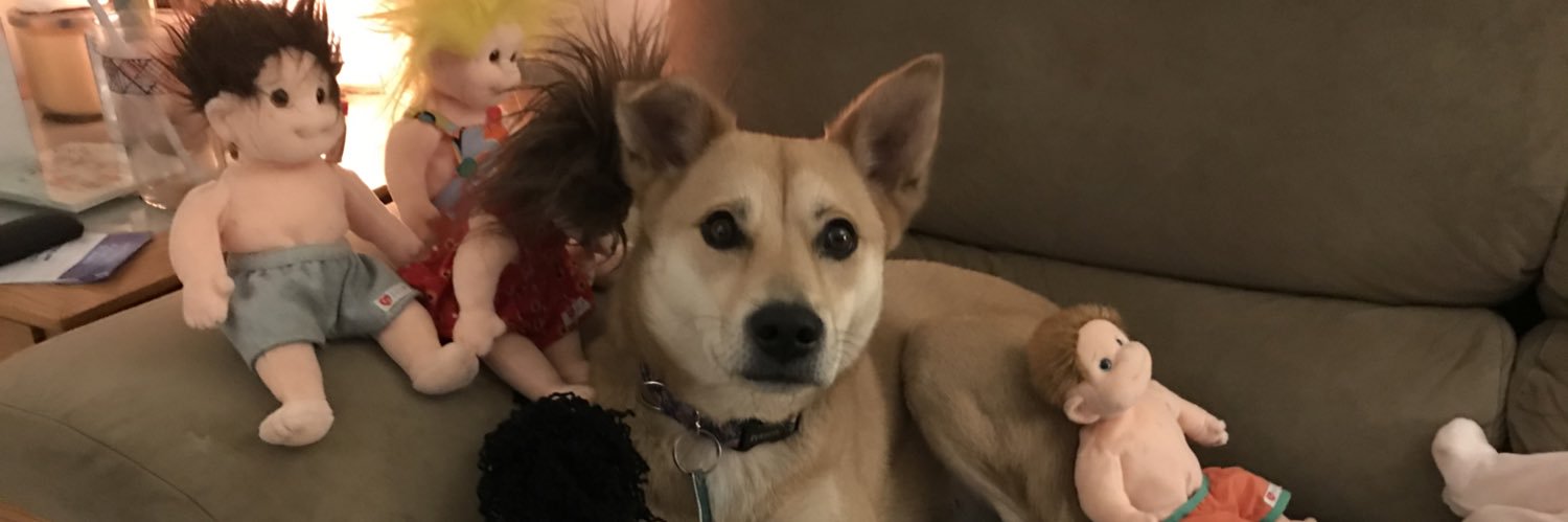 stephhhhhh19's profile banner image