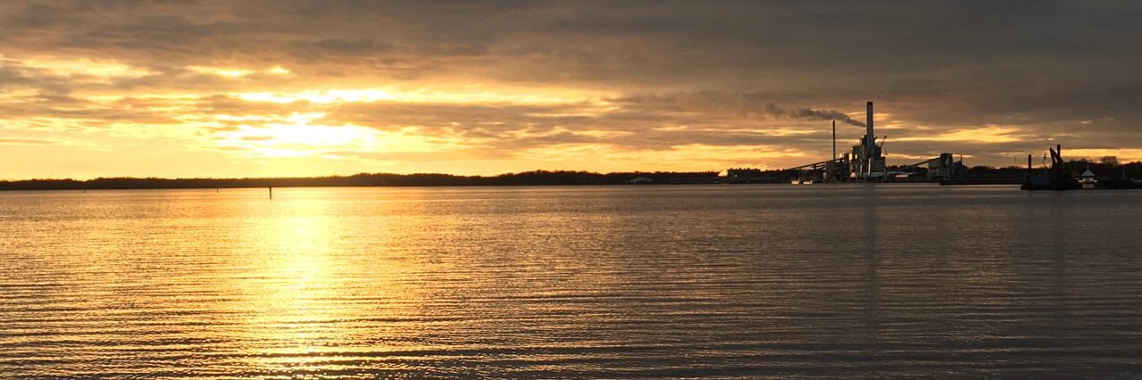 Mahshid Helali banner