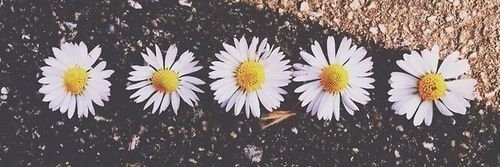 María Emilia Larsen banner