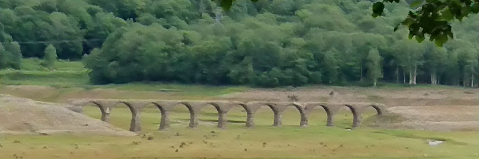 NorthanEagle's profile banner image
