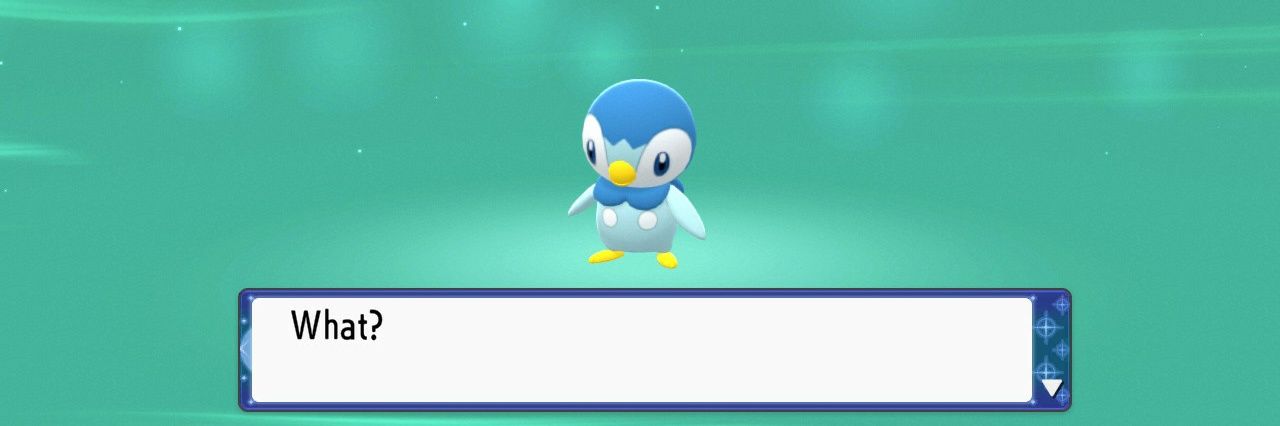 shay banner
