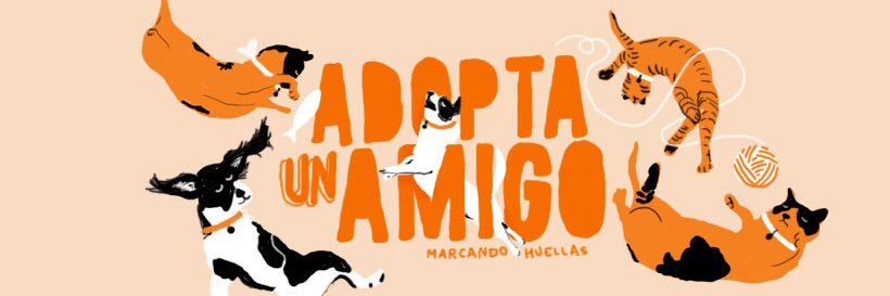 Marcando Huellas banner