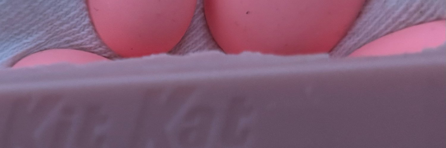 silly banner