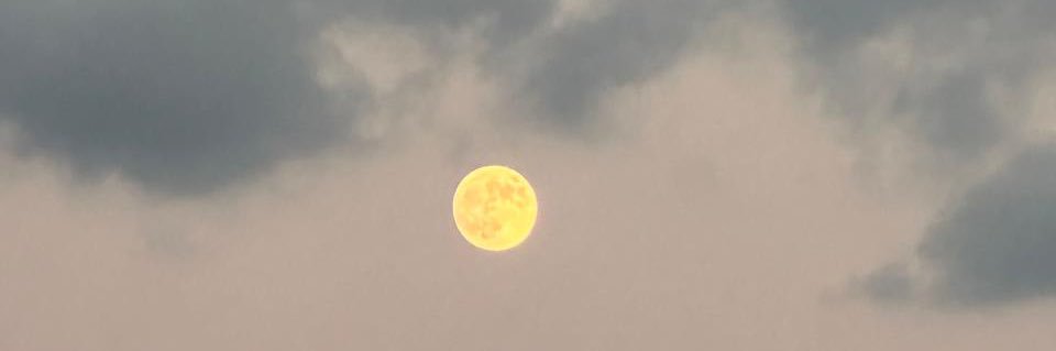 miri ☆･ﾟ🇵🇸 banner