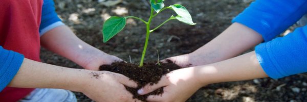 xtobalruizroman Profile Banner