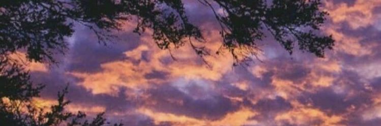 hno1217's profile banner image