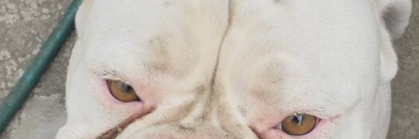 PRO_Villa23's profile banner image