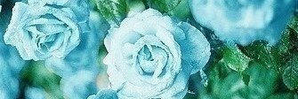 Ivory_oracle's profile banner image