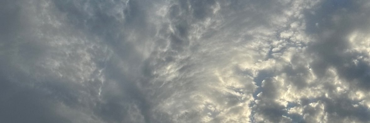 noa_1131's profile banner image