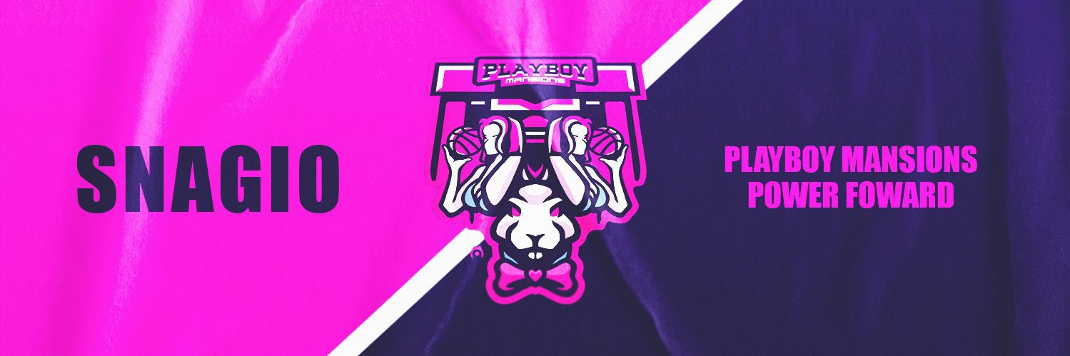 Snagio 💫♿️ banner