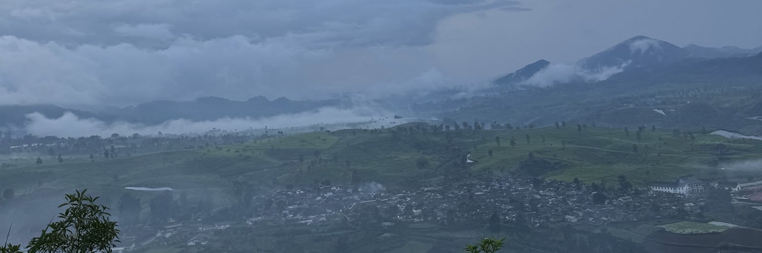 Lia banner
