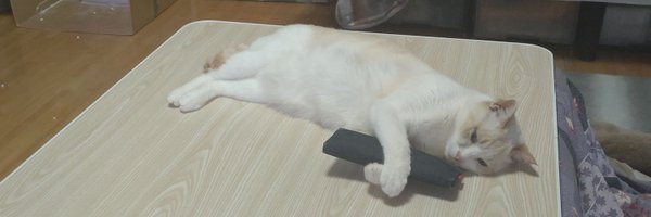 moukohan3 Profile Banner