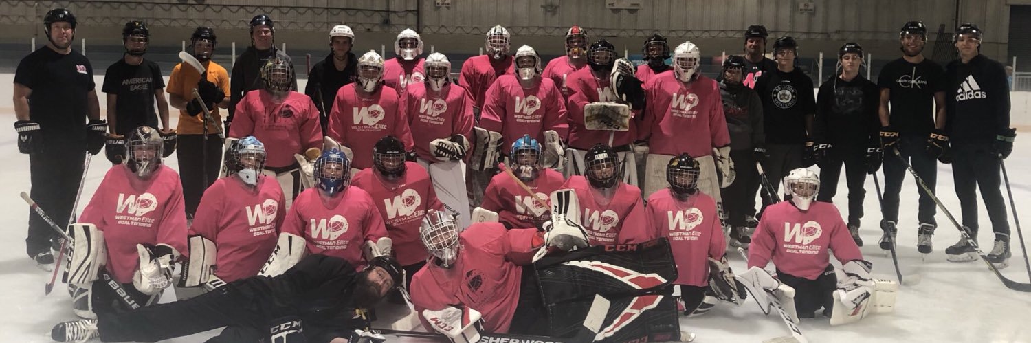 Westman Elite Goaltending banner