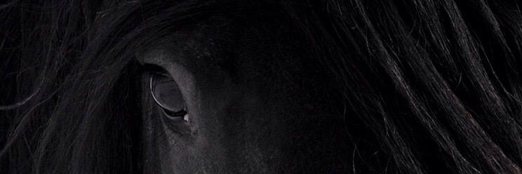 neseslihan's profile banner image