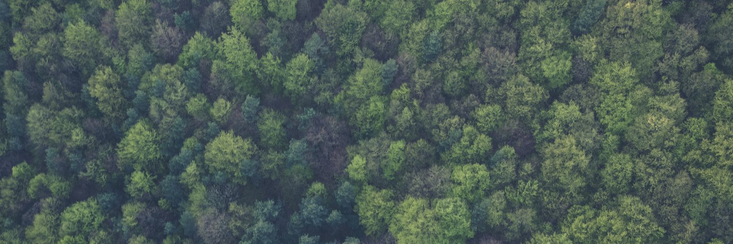 Ryan J Frazier banner