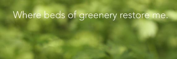 debmeendering's profile banner image