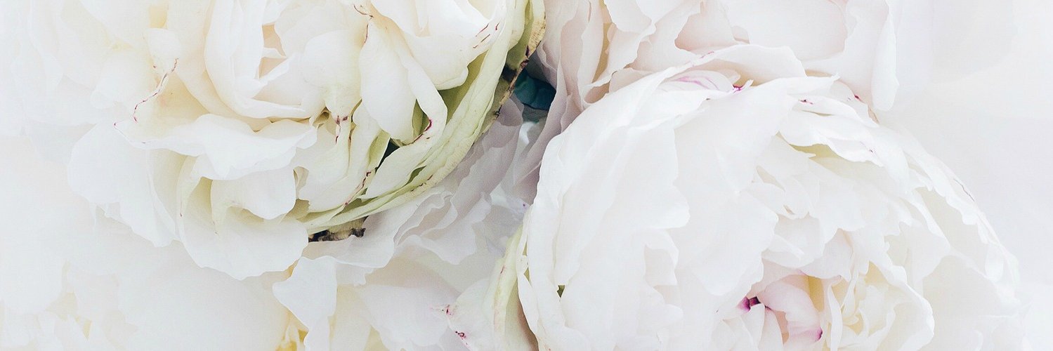 andreannedion's profile banner image