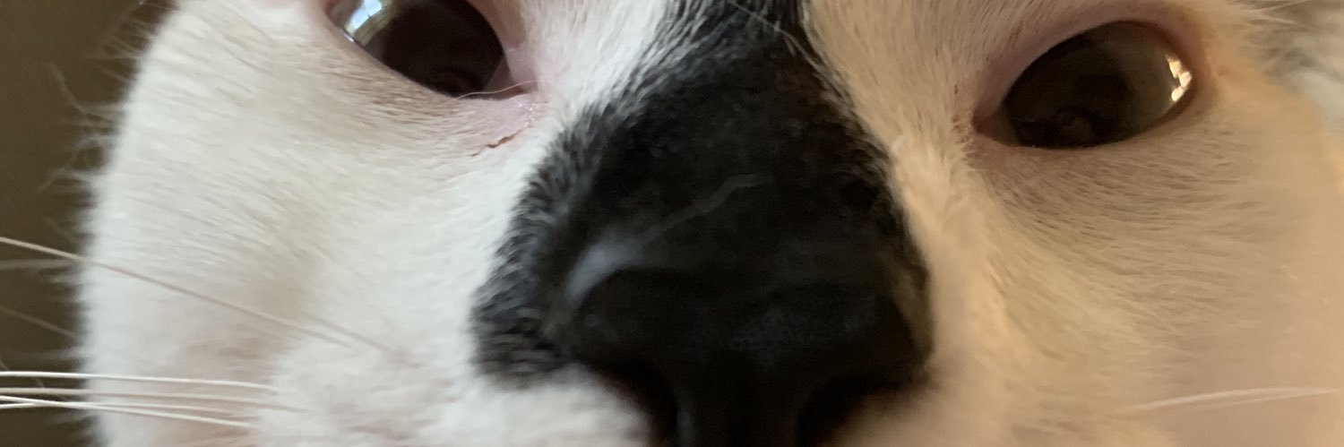 emma_hoeft's profile banner image