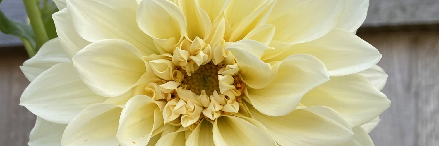 Jeffrey Stininger🌱 banner