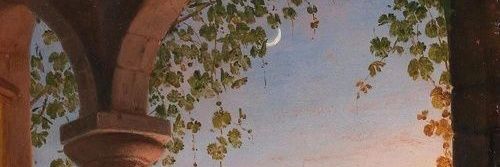 Pipi banner