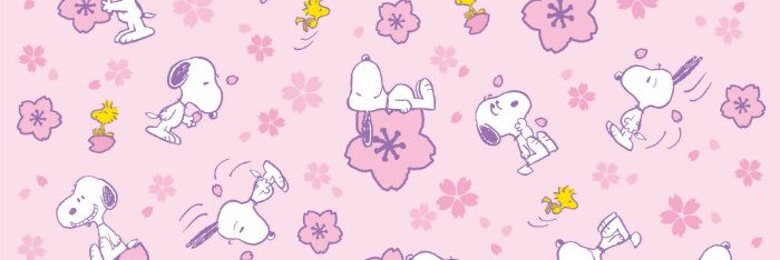 k_pika's profile banner image