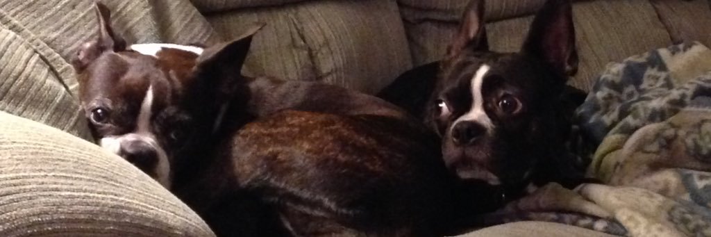 sullivan_bo's profile banner image