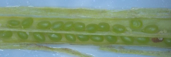 NinaInHD Profile Banner