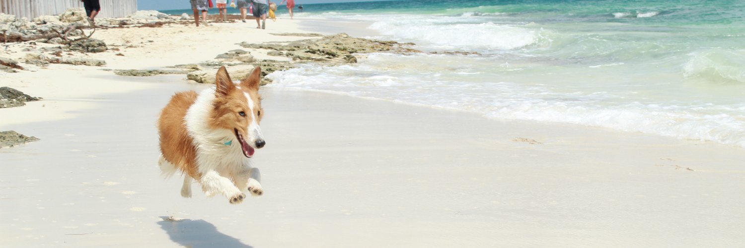 MakMore's profile banner image