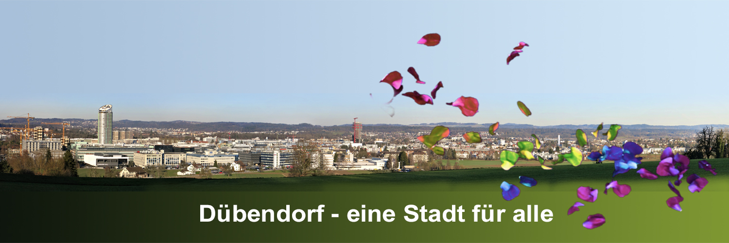 SP Dübendorf; banner