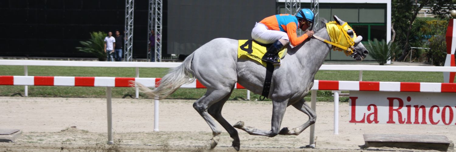 JOSE A. ARAY S. banner